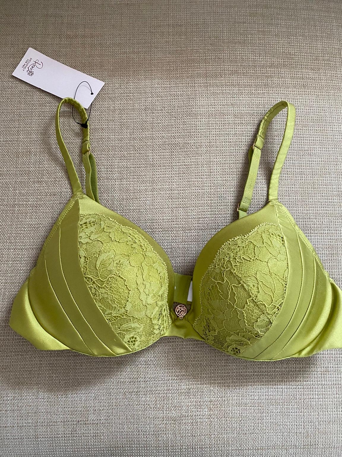 Soft Silk and Lace Padded Underwired Dive Bra