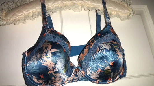 Silk & lace Padded Bra Set